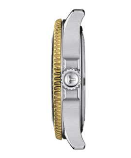 PNG T120 210 22 051 00 PROFIL